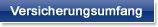 IT-Haftpflicht Versicherungsumfang