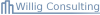 Willig Consulting