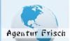Agentur Frisch International Consulting GmbH & Co. KG