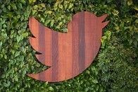 Twitter-Bosse versenken über acht Milliarden Dollar mit nur einer Bilanz-Konferenz Twitter-Bosse versenken über acht Milliarden Dollar mit nur einer Bilanz-Konferenz
