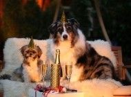 Mit exali.de das Jahr Revue passieren lassen: Das waren unsere Themen-Highlights 2015 Mit exali.de das Jahr Revue passieren lassen: Das waren unsere Themen-Highlights 2015