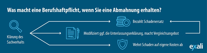 Infografik: Was macht eine Berufshaftpflicht im Schadenfall