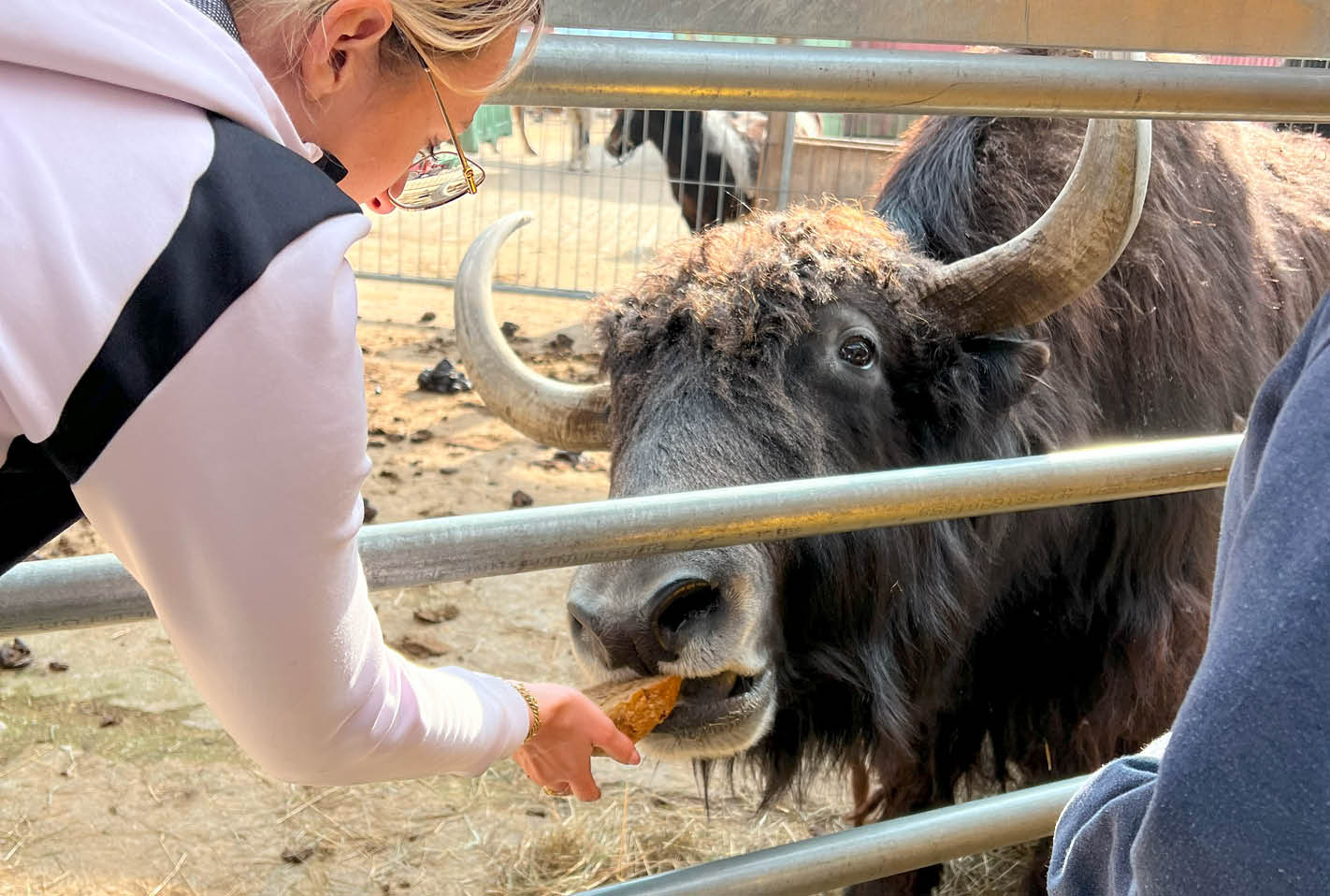 exali bei der Kameloase