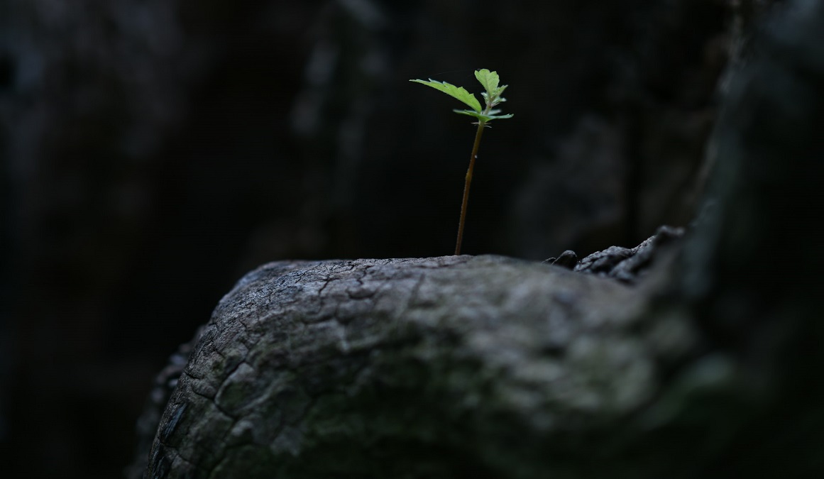 Self Assessment für Selbständige: So machen Sie Ihr Business erfolgreich Self Assessment für Selbständige: So machen Sie Ihr Business erfolgreich